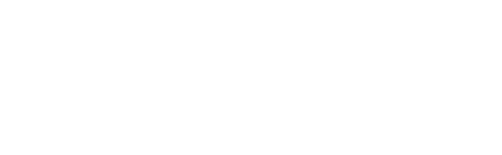 OLS JIU JITSU